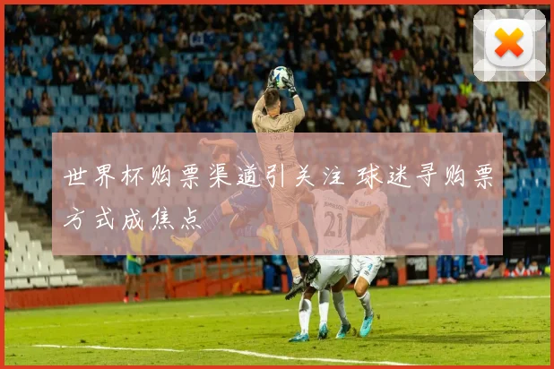 世界杯购票渠道引关注 球迷寻购票方式成焦点