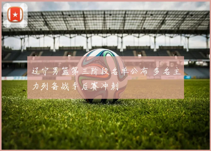 辽宁男篮第三阶段名单公布 多名主力列备战季后赛冲刺