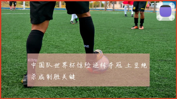 中国队世界杯惊险逆转夺冠 土豆绝杀成制胜关键