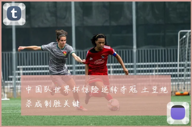 中国队世界杯惊险逆转夺冠 土豆绝杀成制胜关键