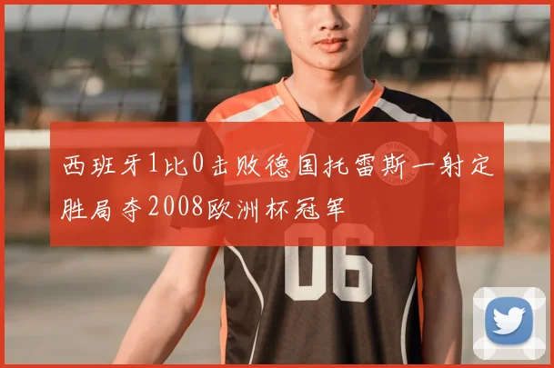 西班牙1比0击败德国托雷斯一射定胜局夺2008欧洲杯冠军